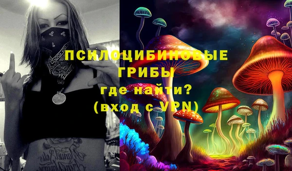 mdpv Арсеньев