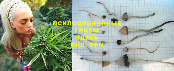 амф Аркадак