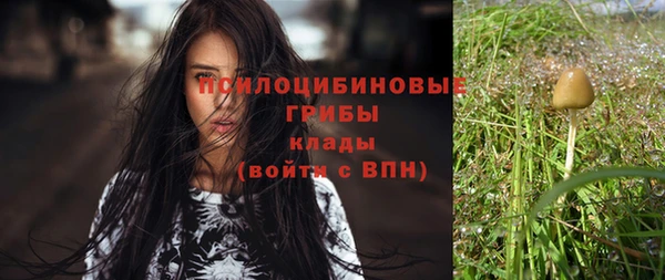прущая мука Армянск