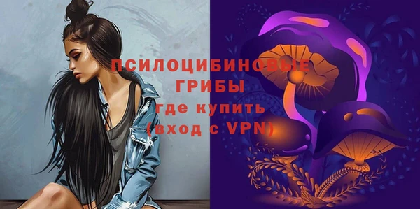 амф Аркадак