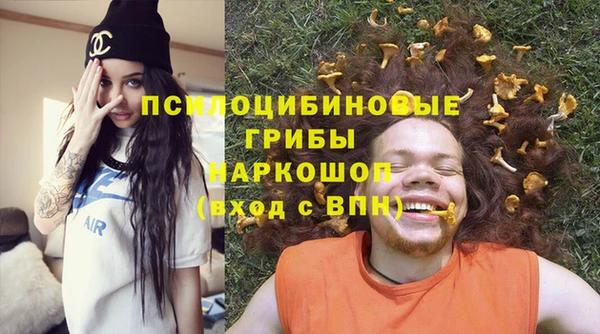 прущая мука Армянск