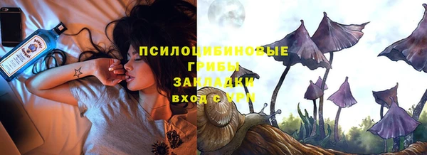 амф Аркадак